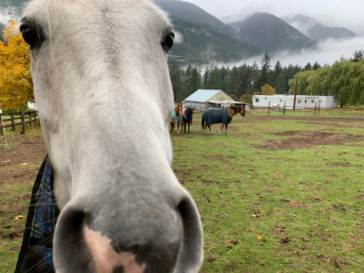 bale and breakfast bc